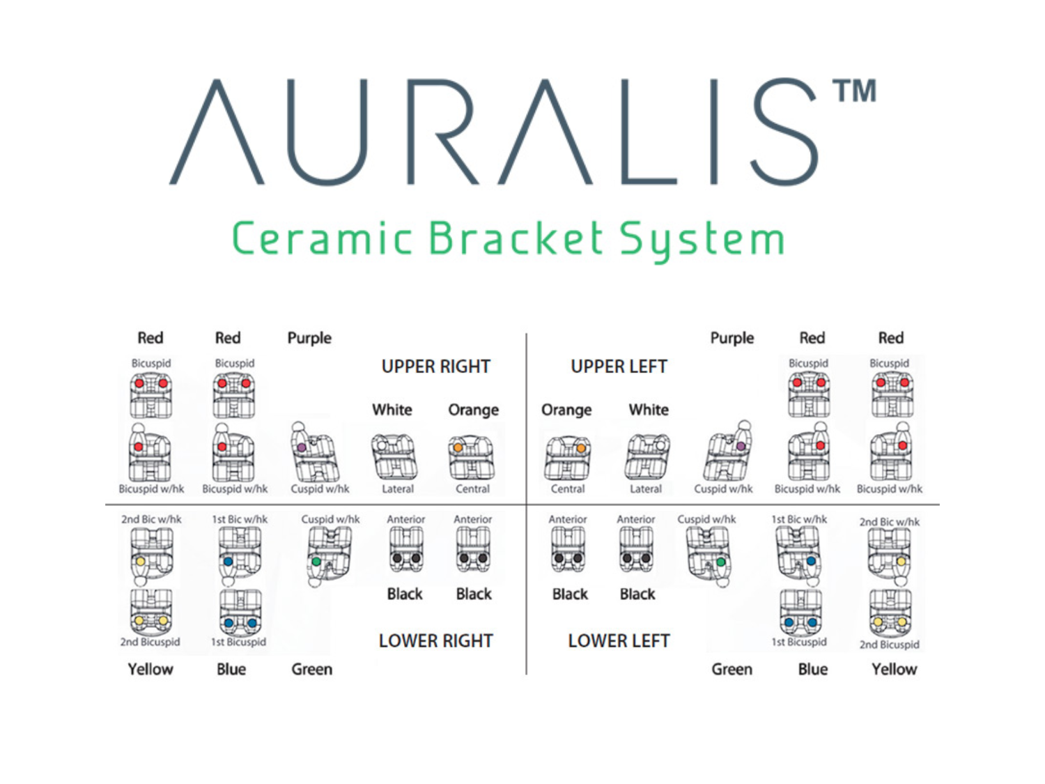 Auralis™ Keramik Brackets MBT .018 3er Hook