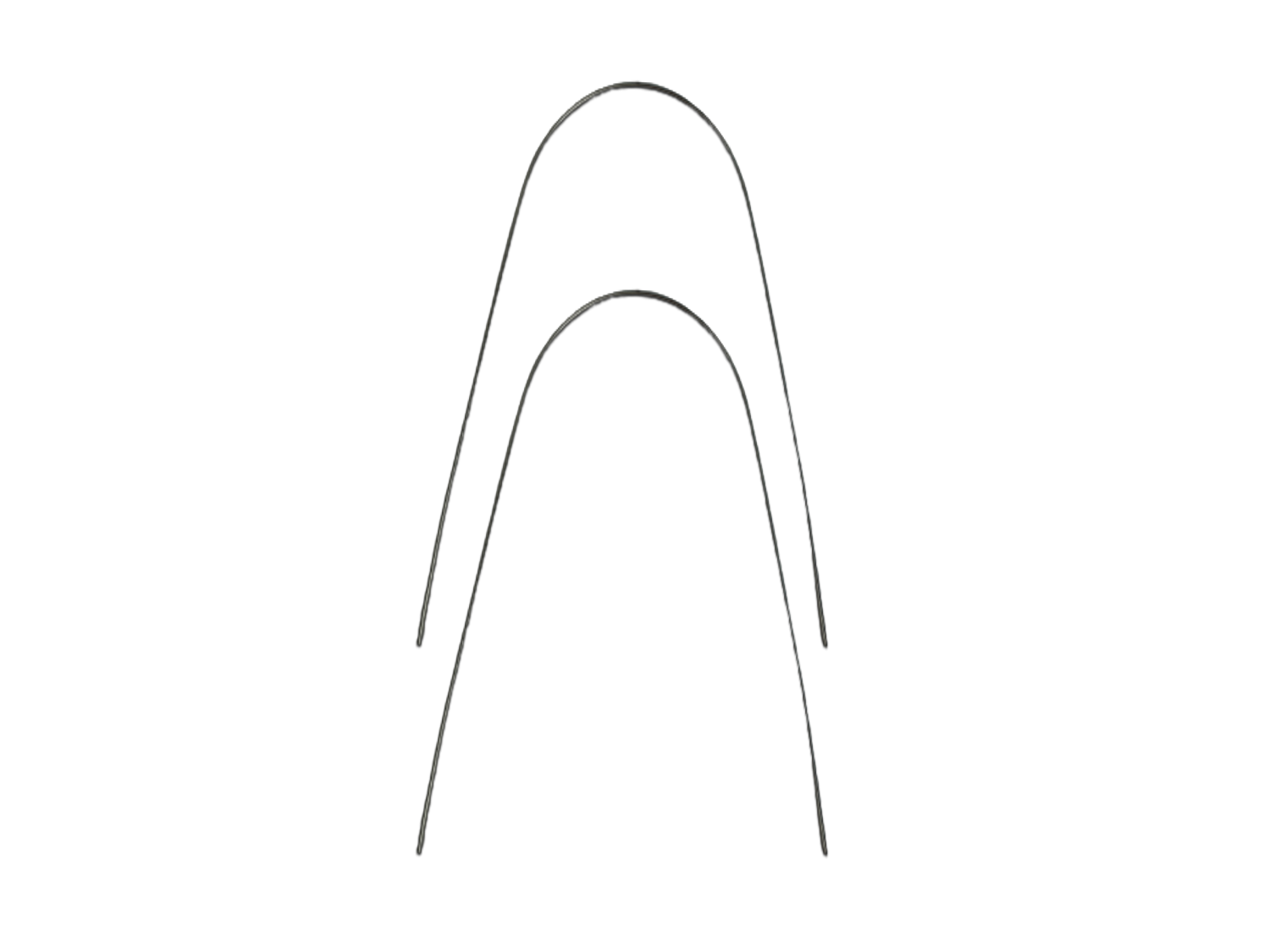 NICKELFREIE TMA-LINGUALBÖGEN Large .016 (5 St./Pack) NICKELFREIE TMA-LINGUALBÖGEN Large .016 (5 St./Pack)